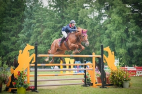 Concours saut d'obstacles  - 2 Grand Prix Amateurs - FETE DU CHEVAL 