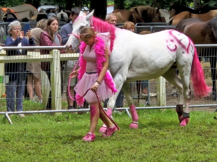 GRAND CONCOURS SUR LES DEUX JOURS - FETE DU CHEVAL 